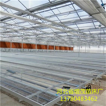 <a href='/' target='_blank'><a href='/' target='_blank'>溫室苗床</a>網(wǎng)</a>廠家