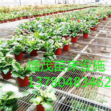 <a href='/' target='_blank'>溫室苗床</a>