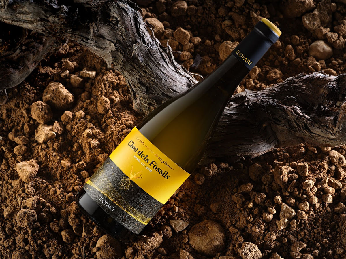 寧夏紅酒包裝設(shè)計(jì)公司推薦參考案例(圖26)