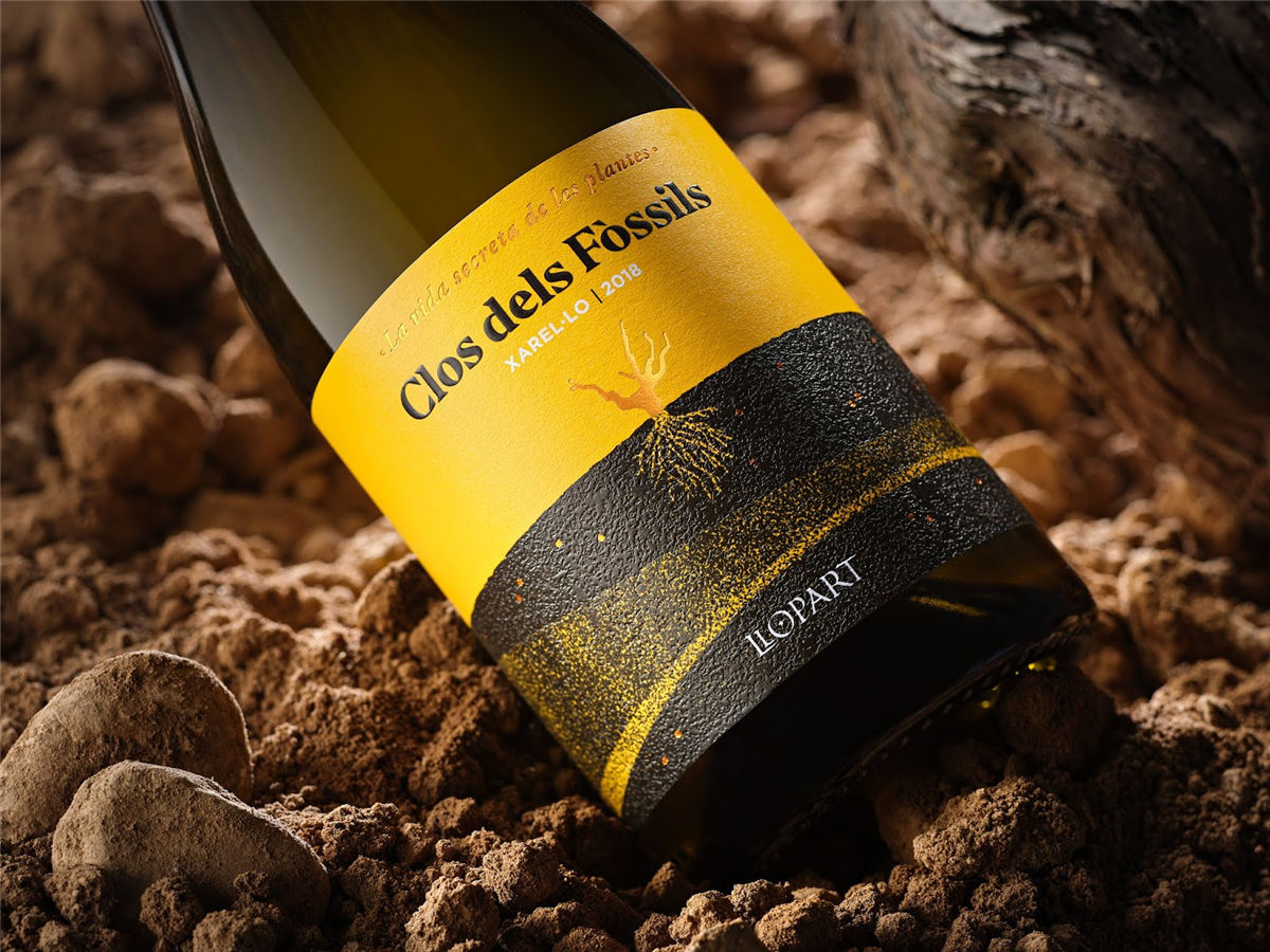 寧夏紅酒包裝設(shè)計(jì)公司推薦參考案例(圖24)