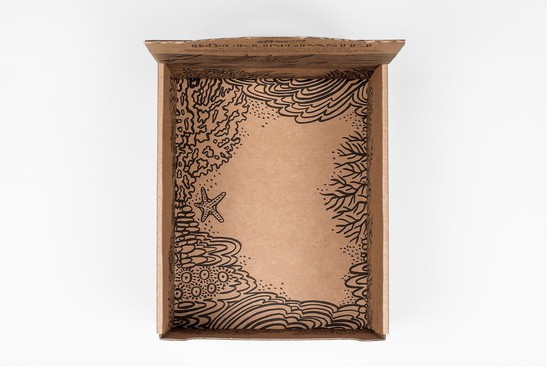 魚(yú)子醬包裝設(shè)計(jì)參考(圖5) 魚(yú)子醬包裝設(shè)計(jì)參考(圖5)