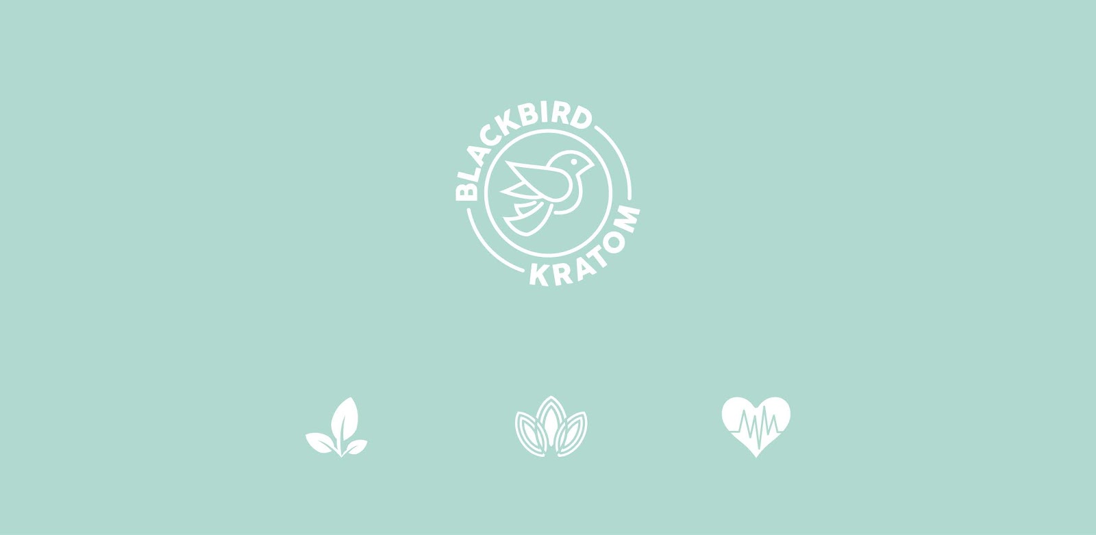 休閑零食包裝設(shè)計(圖1)