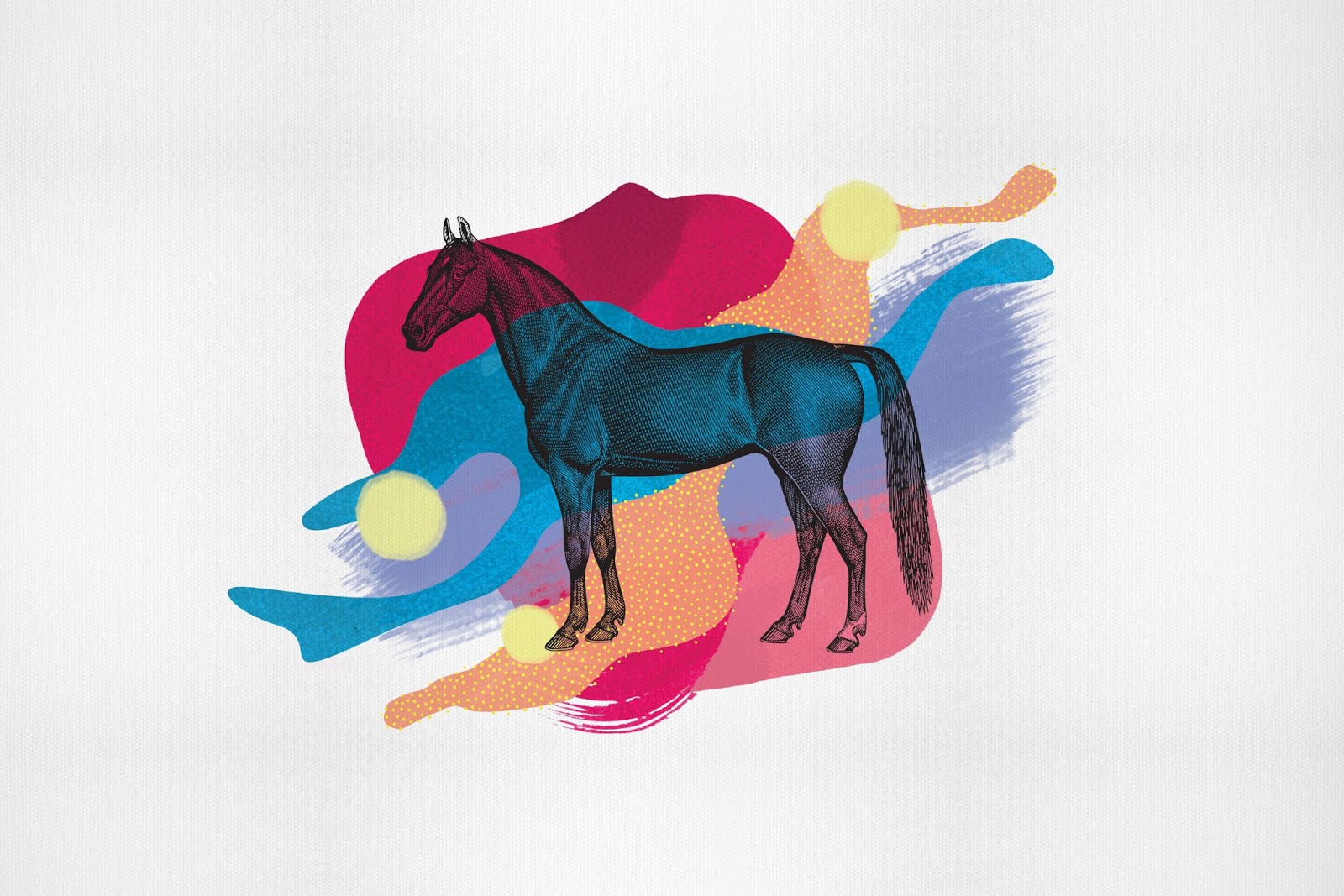 高端的葡萄酒包裝設(shè)計(jì)圖片欣賞(圖7)