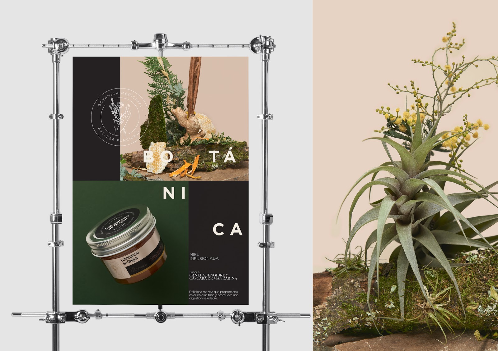 植物化妝品包裝設(shè)計(圖2)