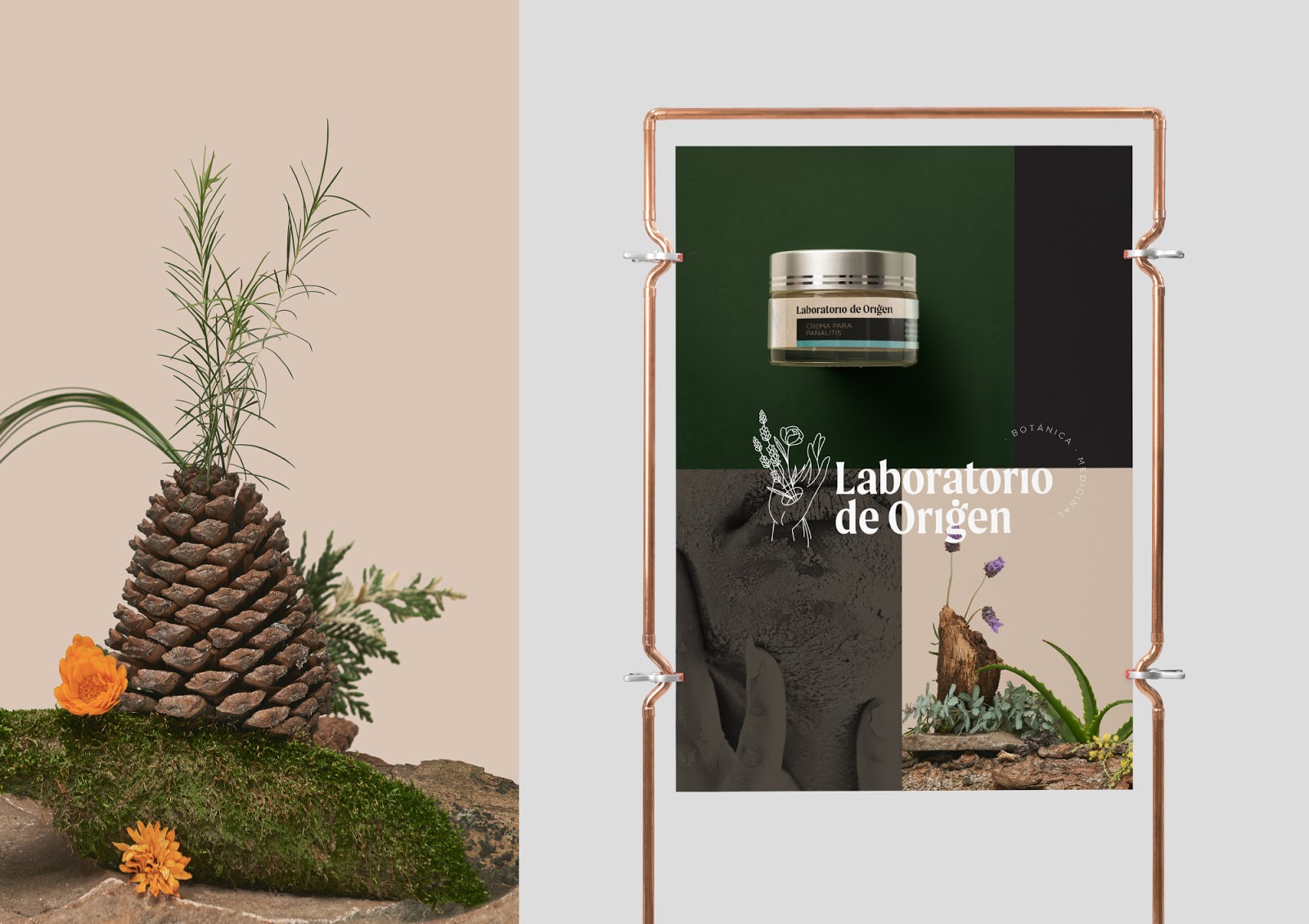 植物化妝品包裝設(shè)計(圖4)