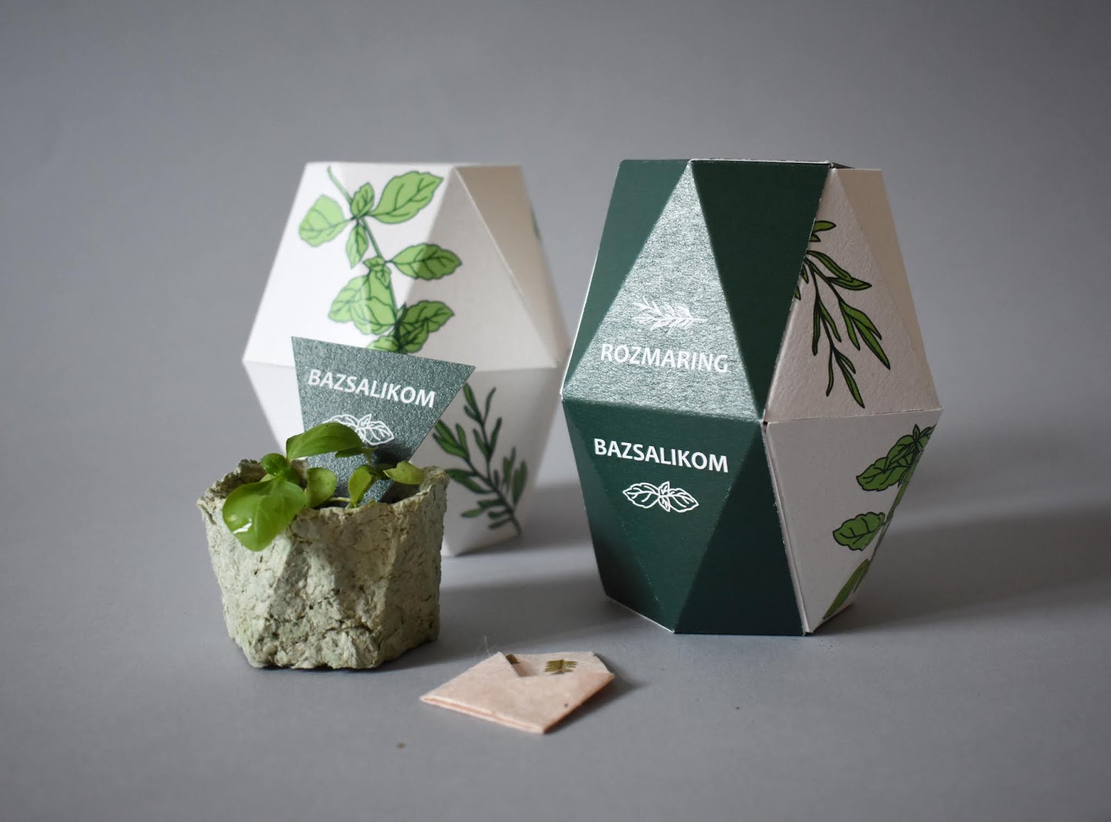 鮮花種子禮盒包裝設(shè)計(jì)(圖2)