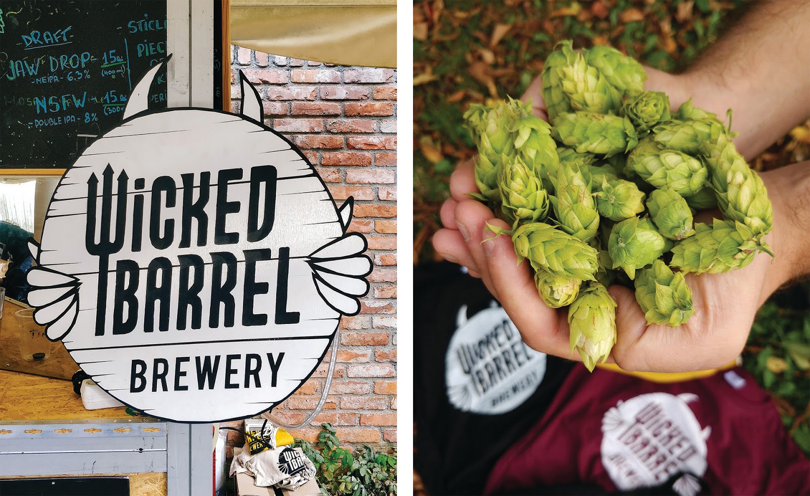 青島果酒包裝設(shè)計(圖17)