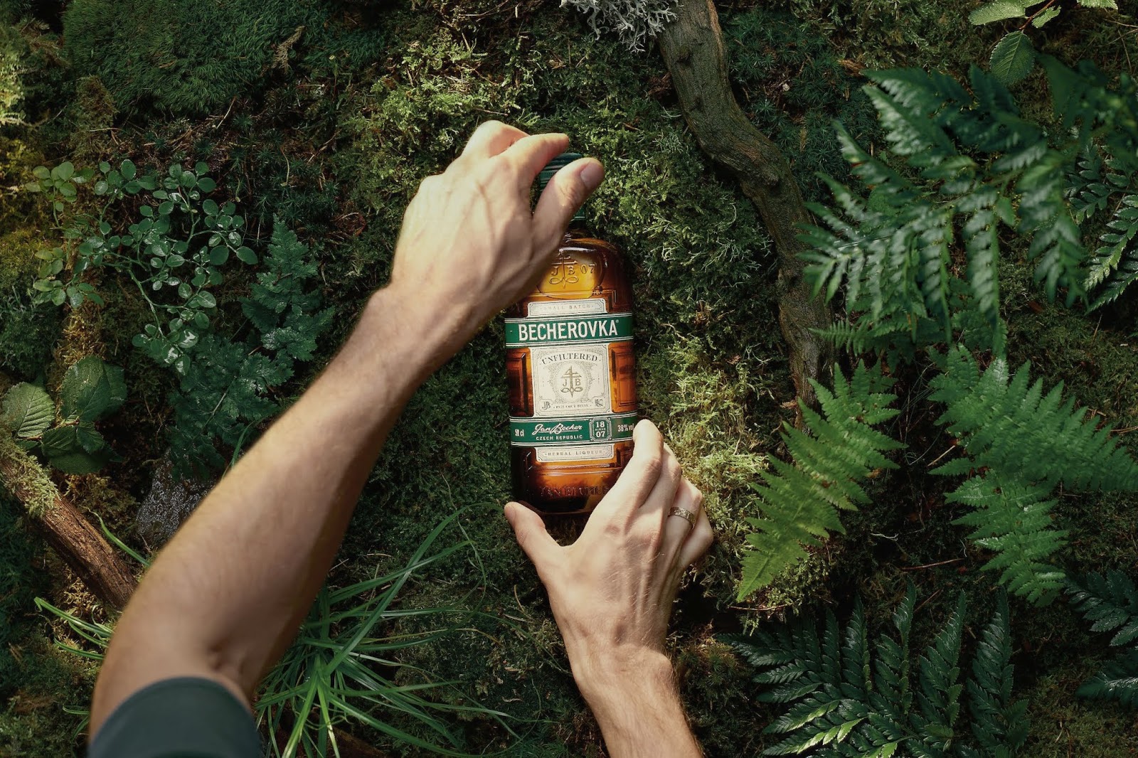 紹興保健酒包裝設(shè)計(圖1)