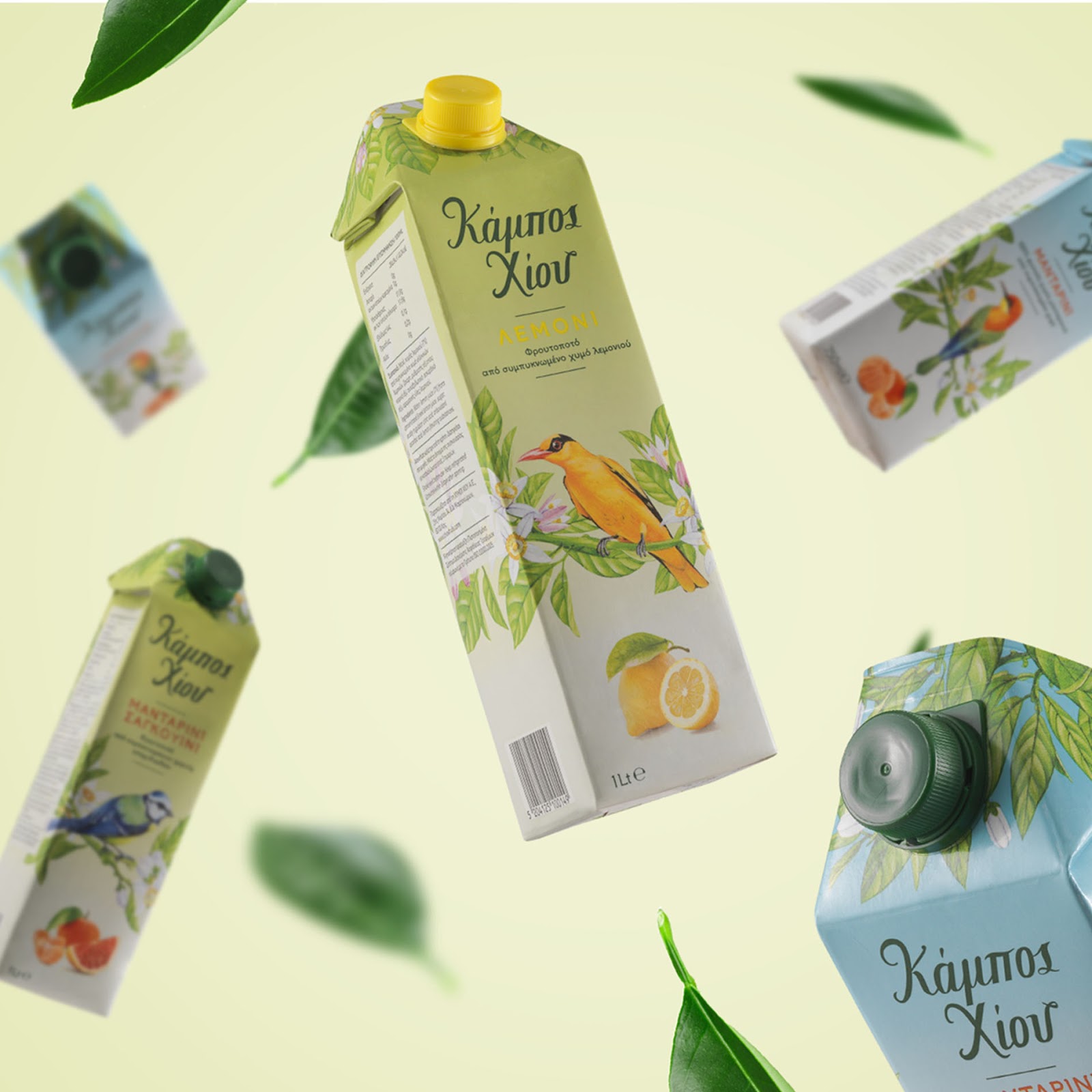 貴陽果汁飲料包裝設(shè)計(jì)公司(圖8)