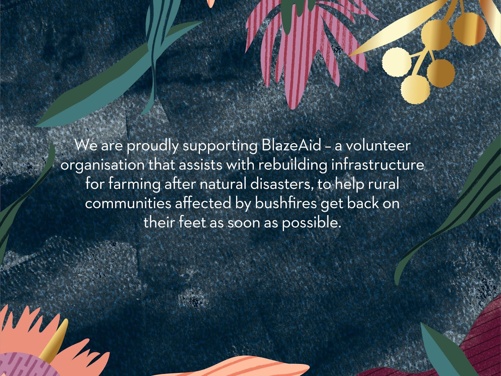 氣質(zhì)優(yōu)雅的葡萄酒包裝設(shè)計(圖2)