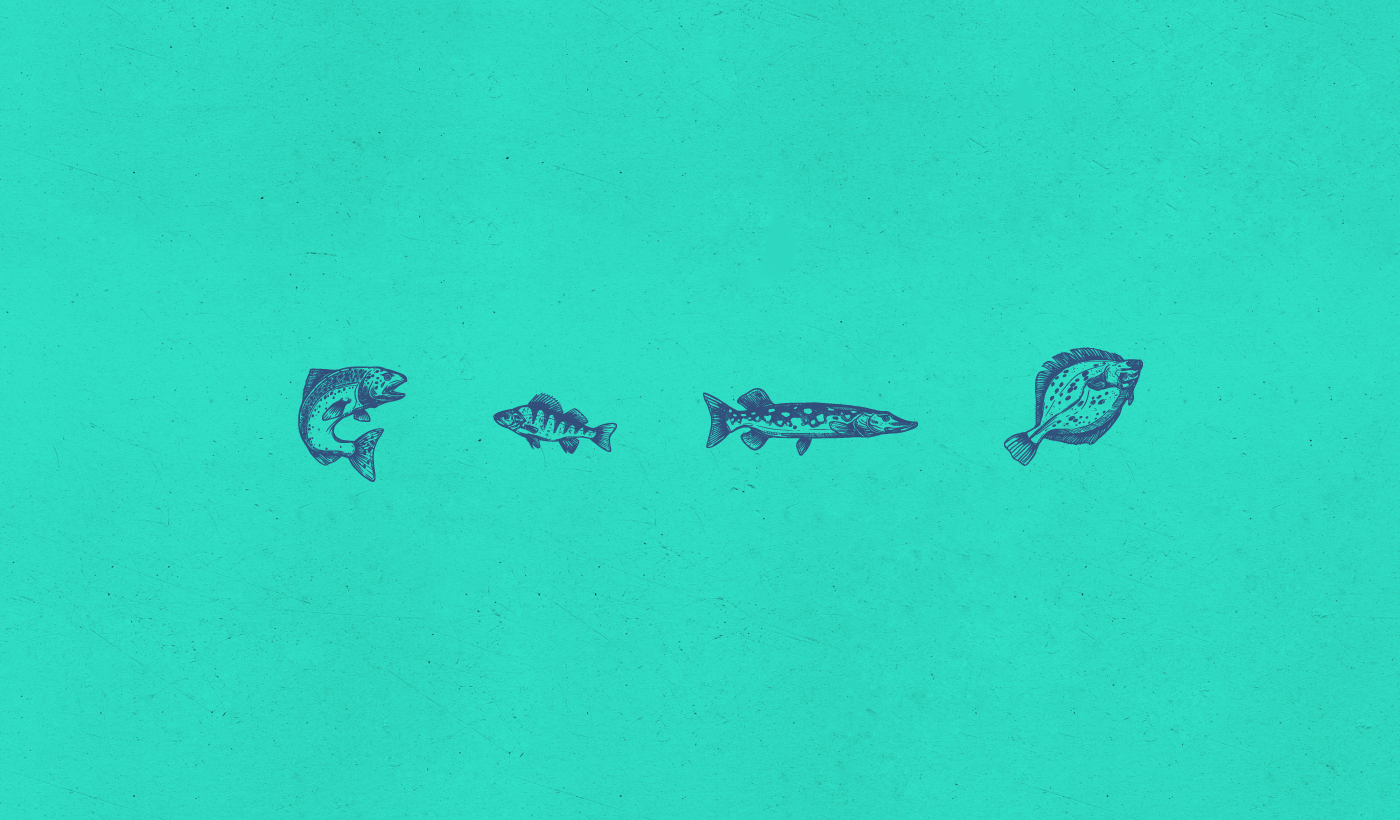 濟(jì)寧海產(chǎn)品包裝設(shè)計(jì)簡(jiǎn)約設(shè)計(jì)(圖7)