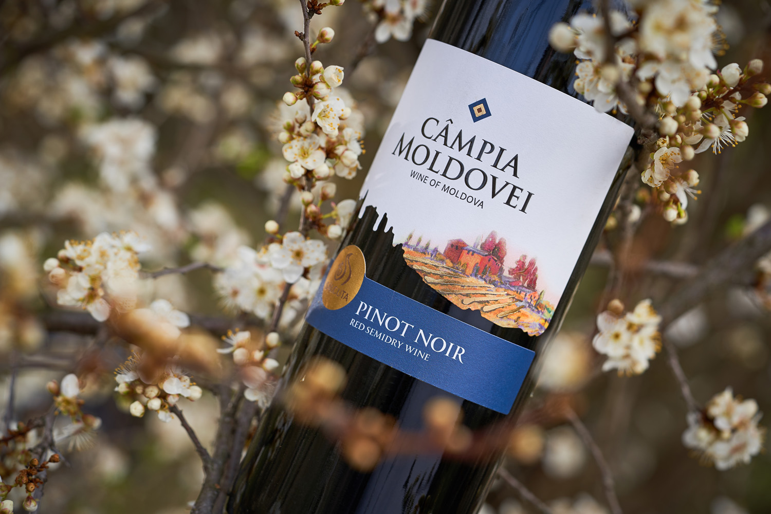 蘭州酒包裝設(shè)計公司(圖1) 蘭州酒包裝設(shè)計公司(圖1)