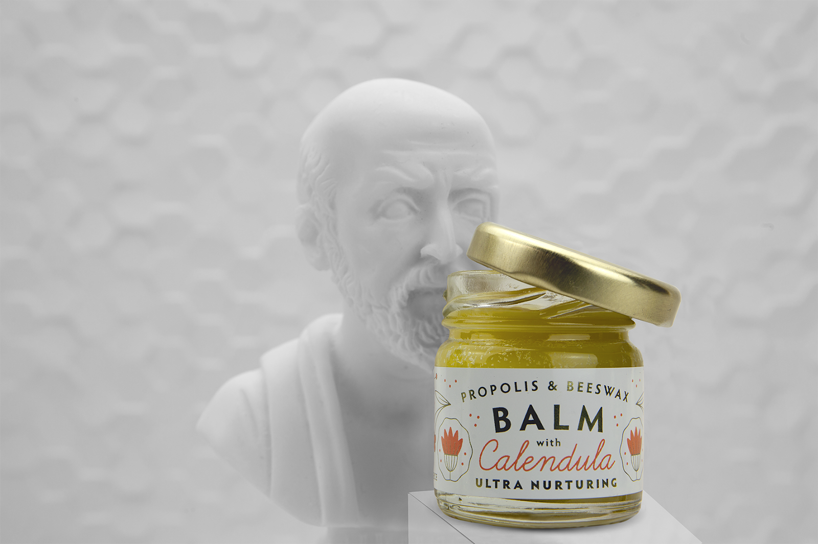 臨沂蜂蜜包裝設(shè)計欣賞(圖4)