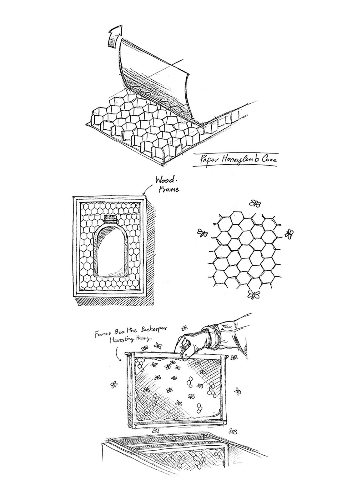 創(chuàng)意蜂蜜包裝設計(圖3)
