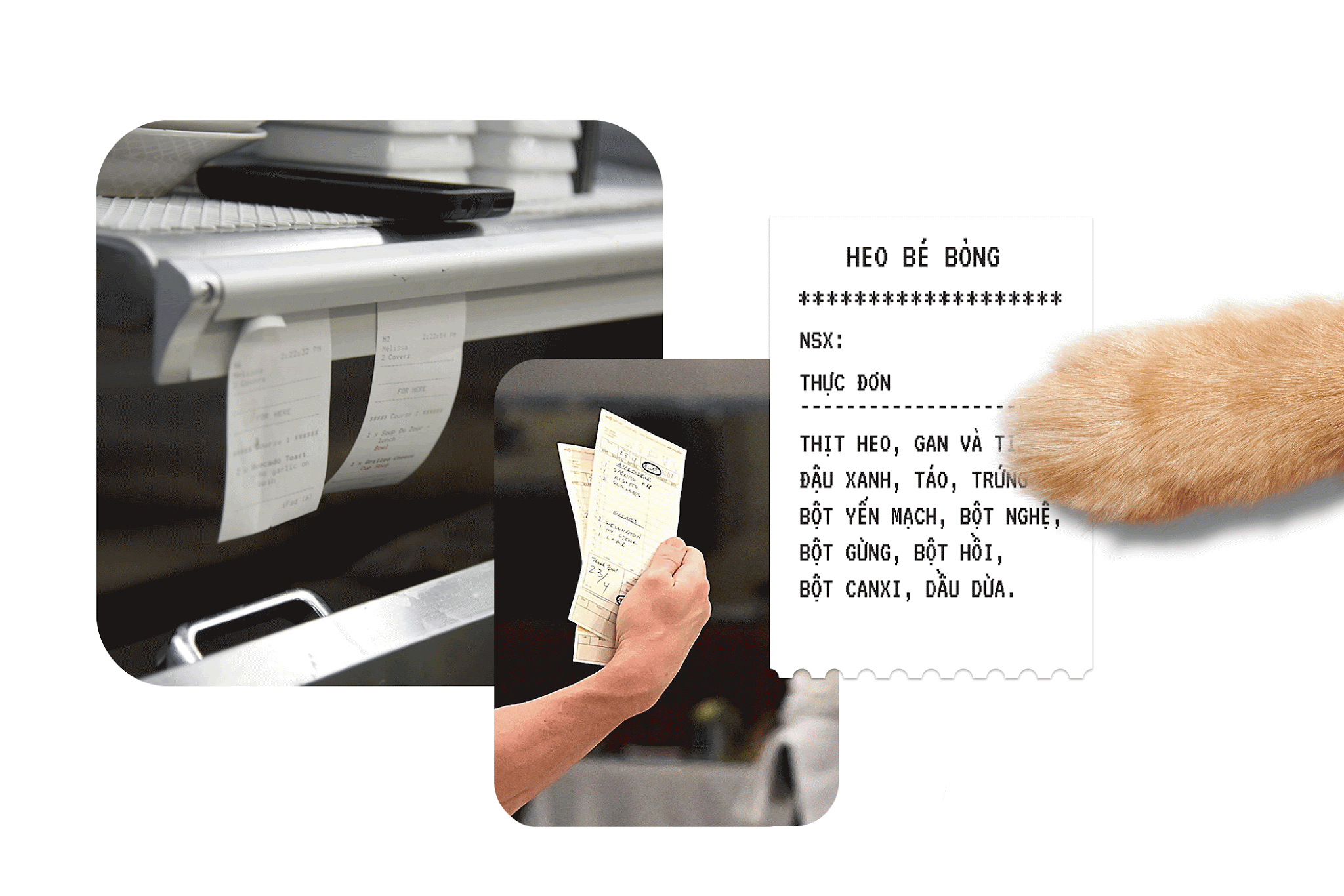 寵物包裝設(shè)計(jì)欣賞食品狗糧包裝設(shè)計(jì)欣賞貓糧包裝設(shè)計(jì)欣賞包裝設(shè)計(jì)全套(圖11)