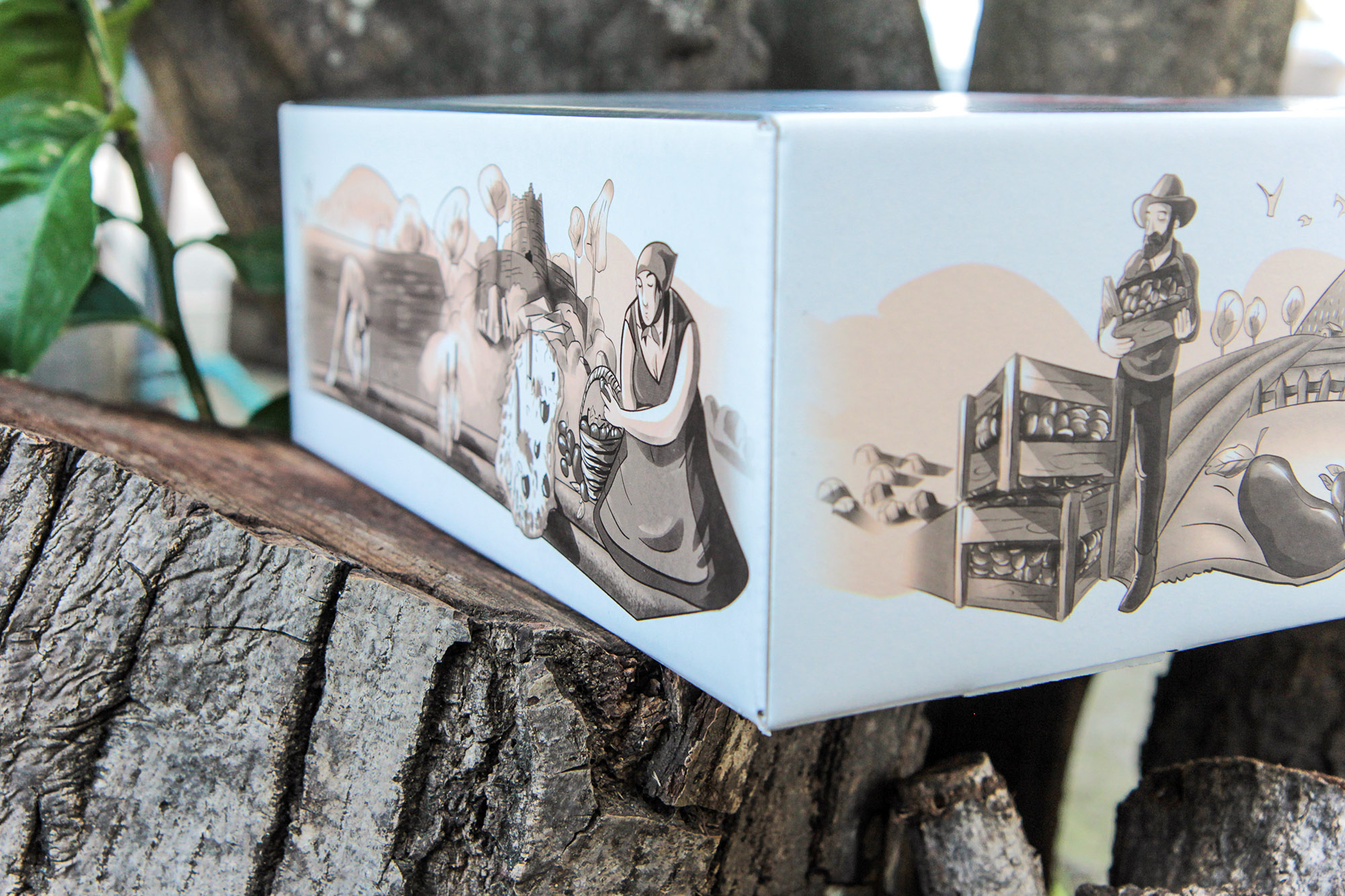 罐頭蜜餞食品包裝設(shè)計(jì)(圖7) 罐頭蜜餞食品包裝設(shè)計(jì)(圖7)