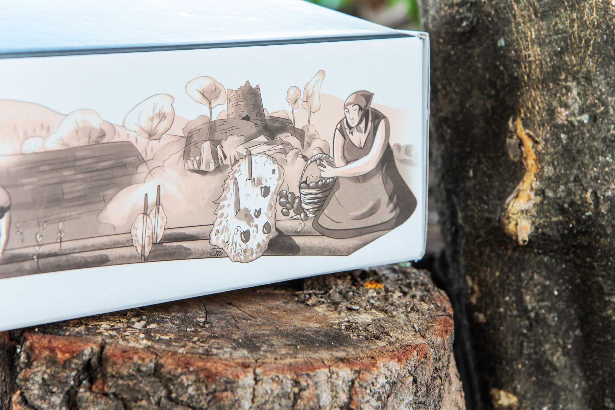 罐頭蜜餞食品包裝設(shè)計(jì)(圖8) 罐頭蜜餞食品包裝設(shè)計(jì)(圖8)