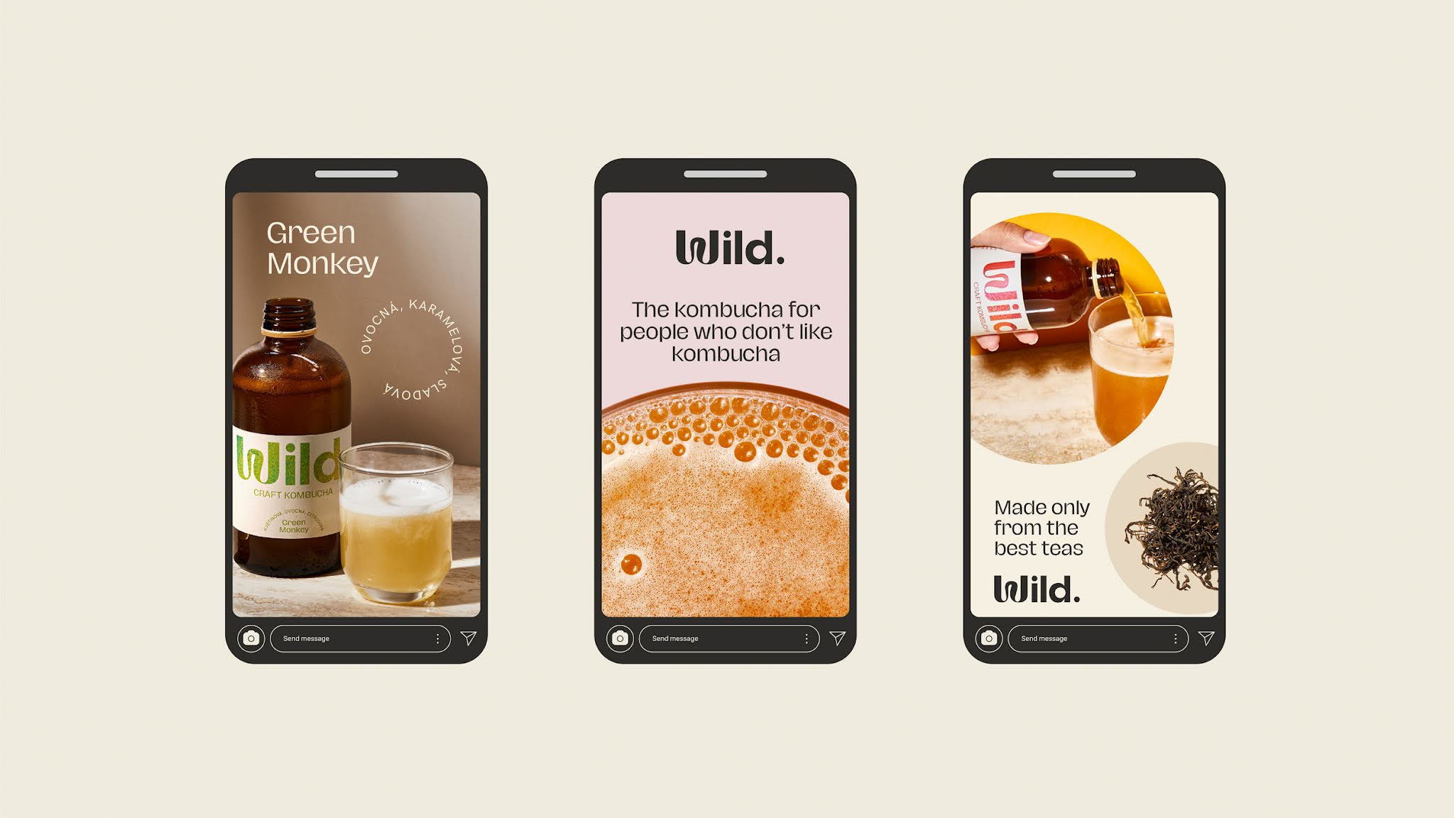 荒野康普茶包裝設計(圖12)