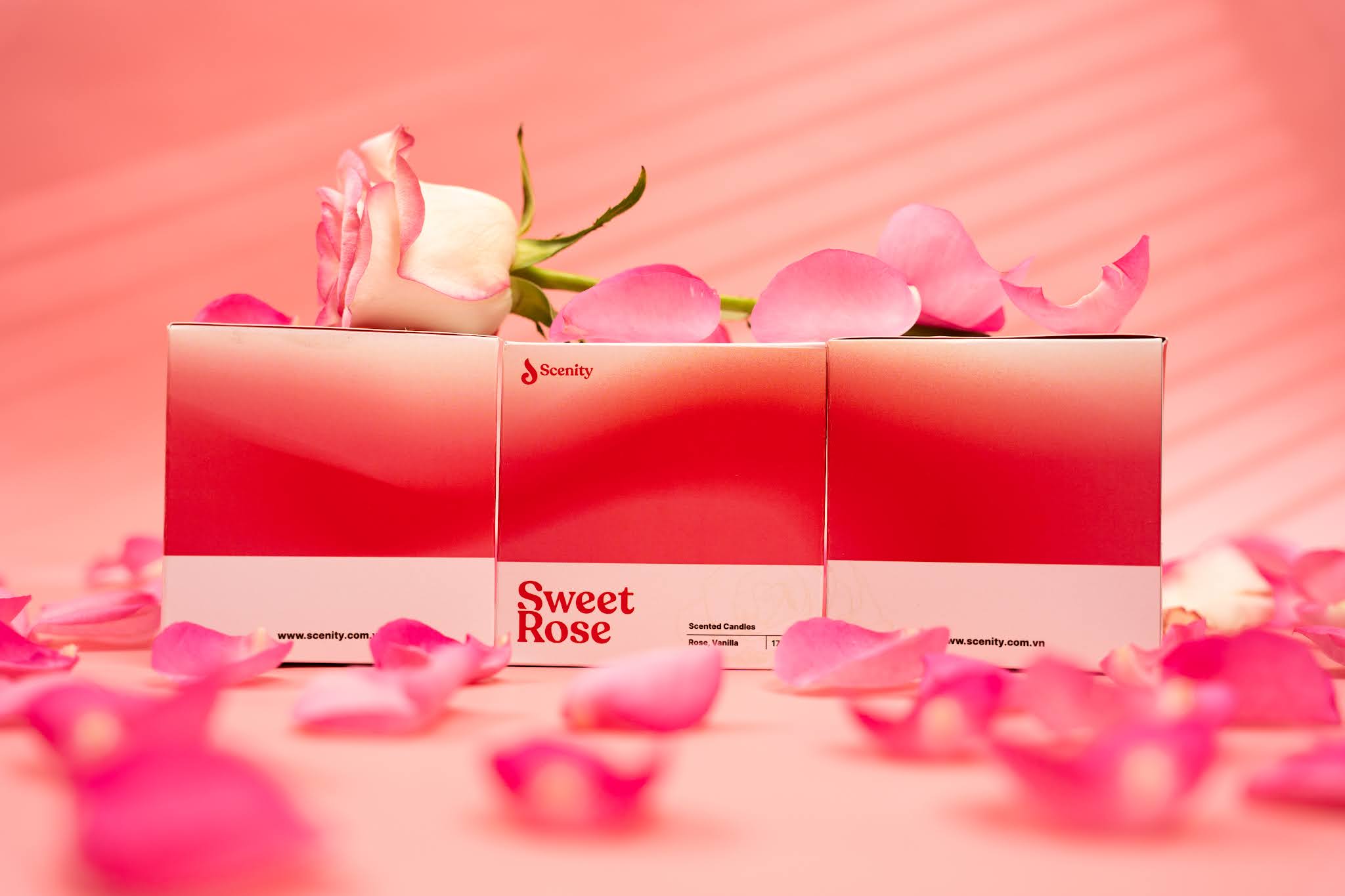 香薰品牌的包裝怎么設計(圖3) 香薰品牌的包裝怎么設計(圖3)