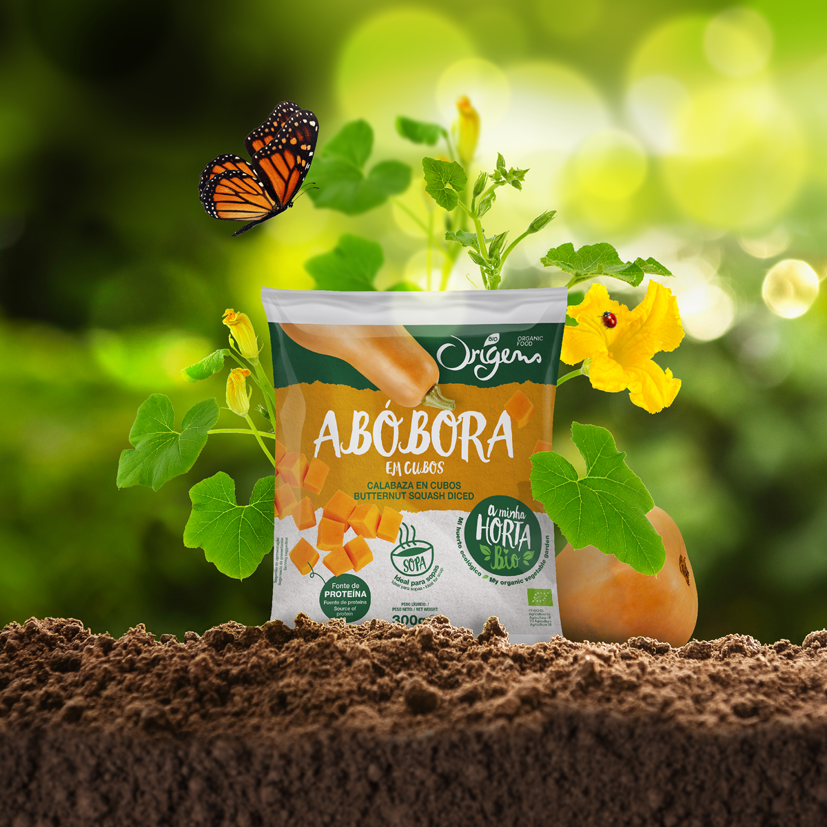 冷凍有機(jī)蔬菜包裝設(shè)計(jì)(圖1)