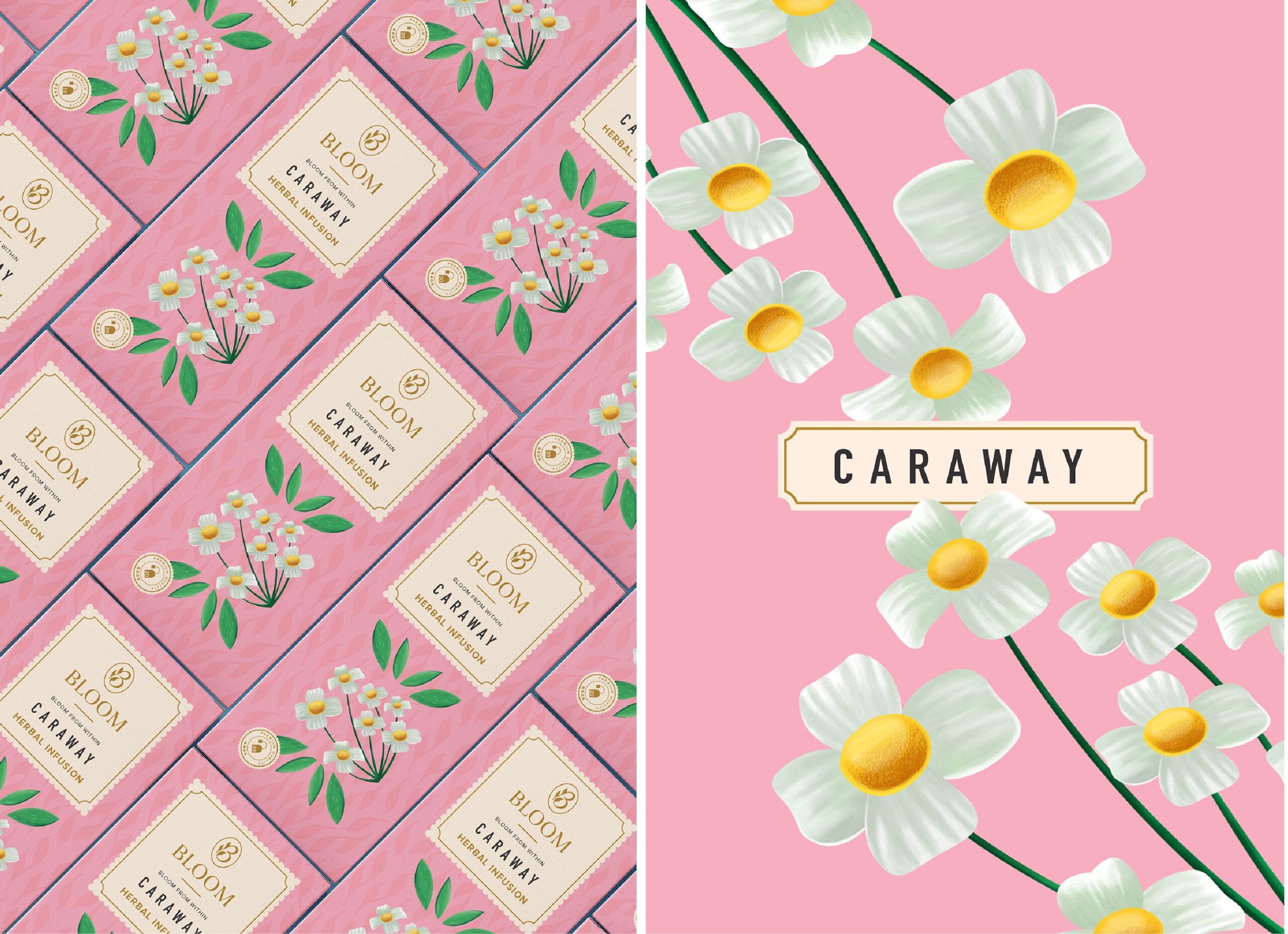 繪畫風(fēng)格的草本茶包裝設(shè)計這樣做(圖3) 繪畫風(fēng)格的草本茶包裝設(shè)計這樣做(圖3)