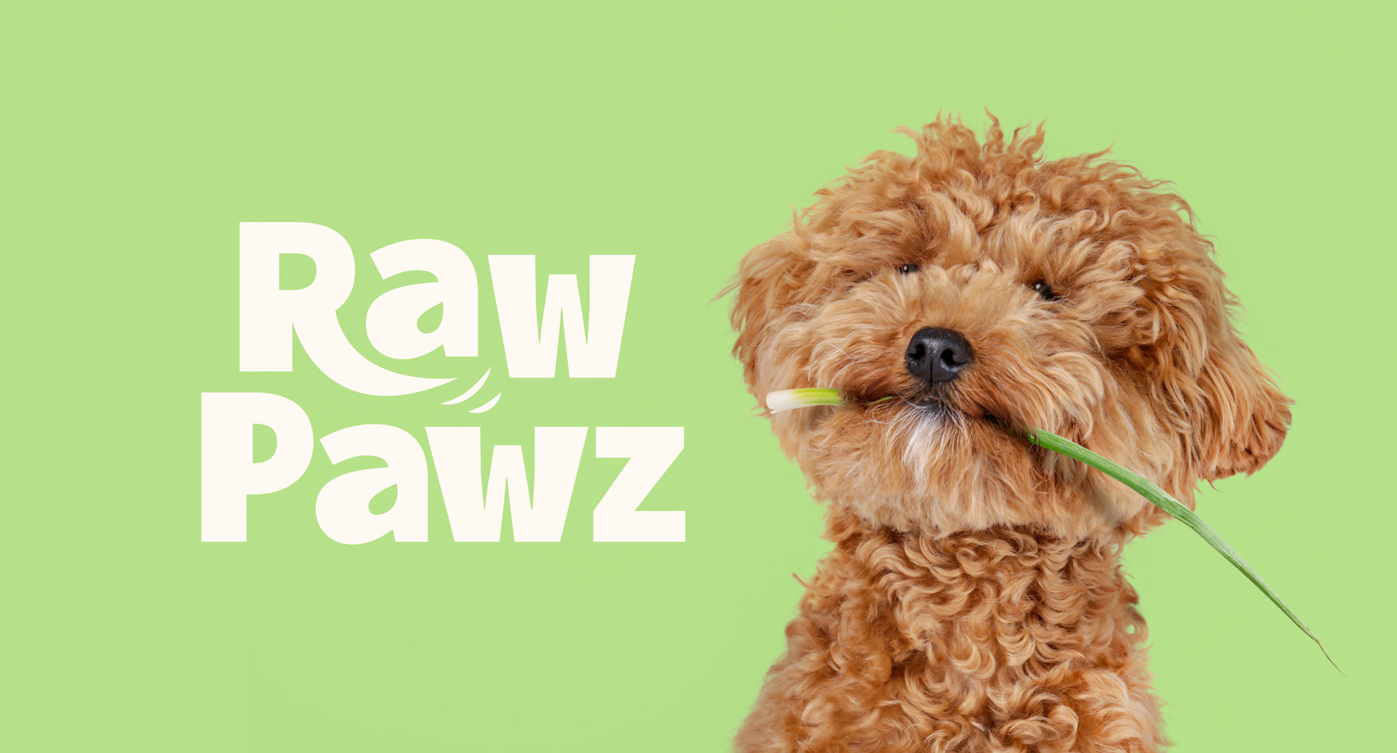 寵物包裝設計欣賞用品狗糧包裝設計欣賞包裝設計(圖1)