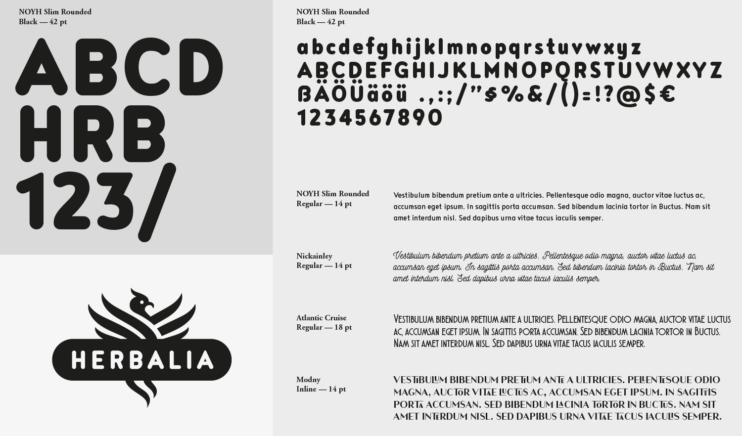 草本植物茶飲品品牌包裝設計(圖2)