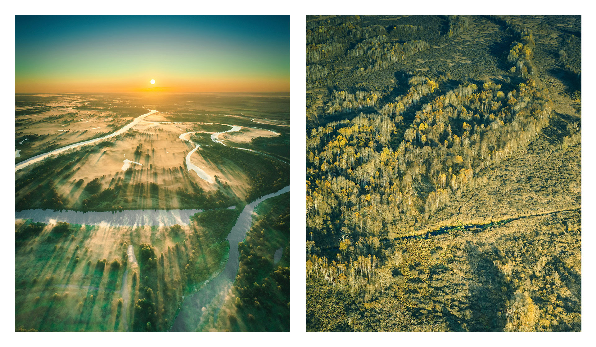 Frangula蜂蜜包裝設(shè)計(jì)(圖3) Frangula蜂蜜包裝設(shè)計(jì)(圖3)