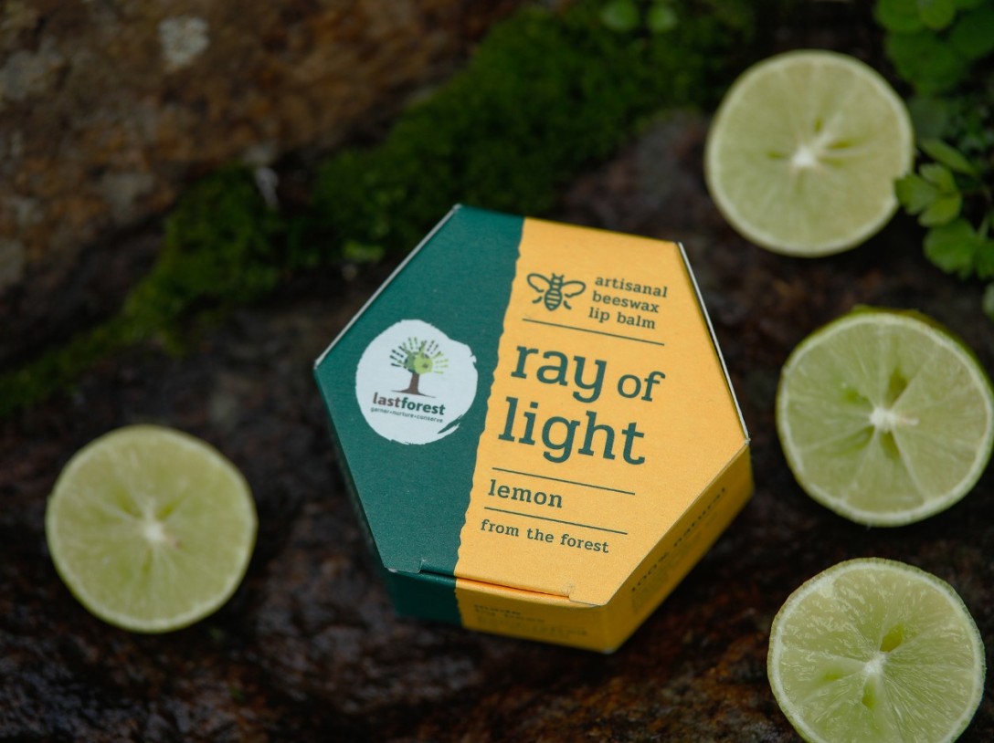 ?Last Forest 手工蜂蠟潤唇膏的包裝設(shè)計(圖5)