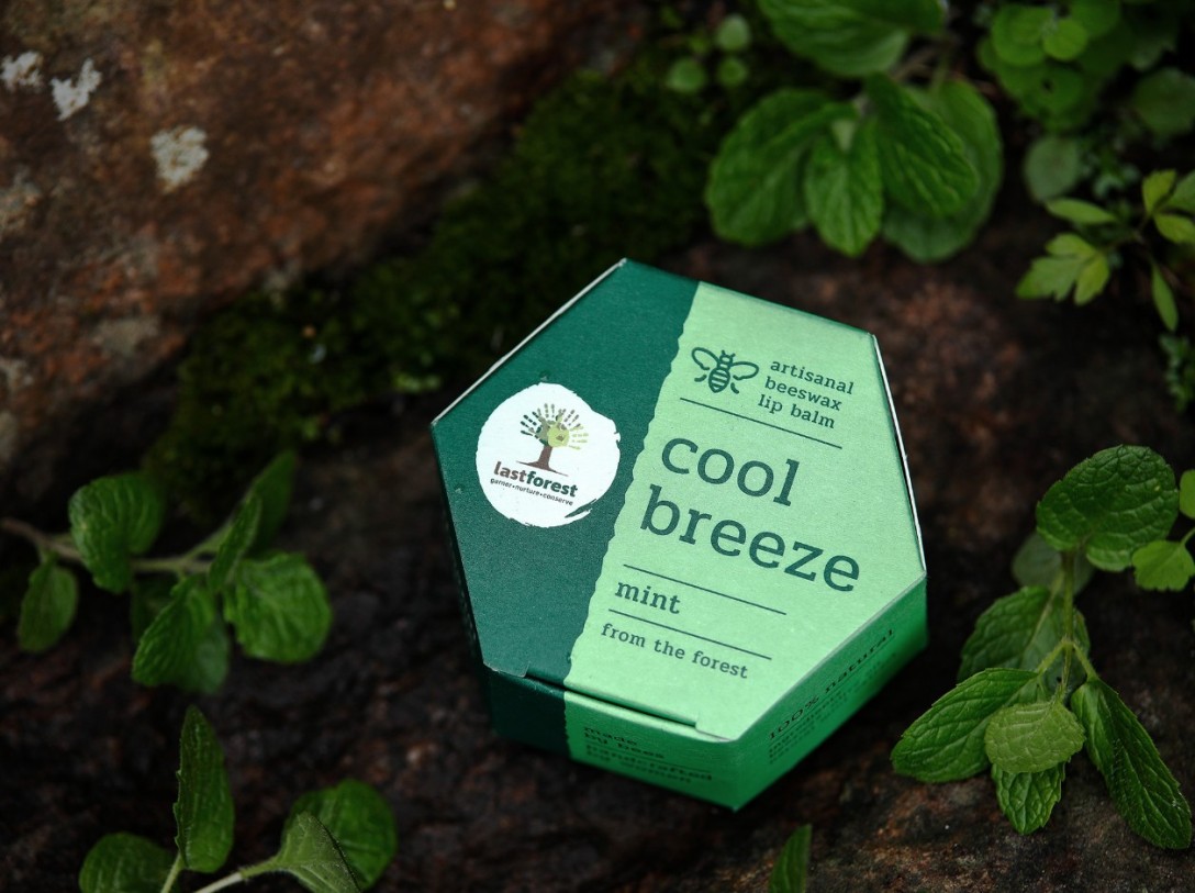 ?Last Forest 手工蜂蠟潤唇膏的包裝設(shè)計(圖1)
