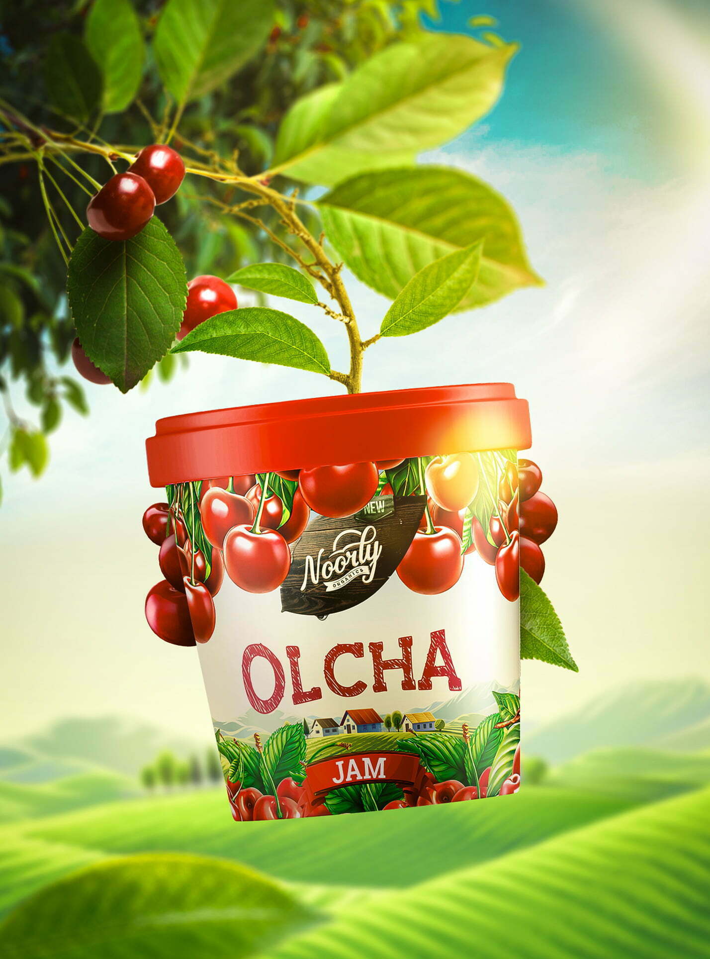 鮮艷明亮的Noorly水果醬包裝設(shè)計這樣做(圖7)