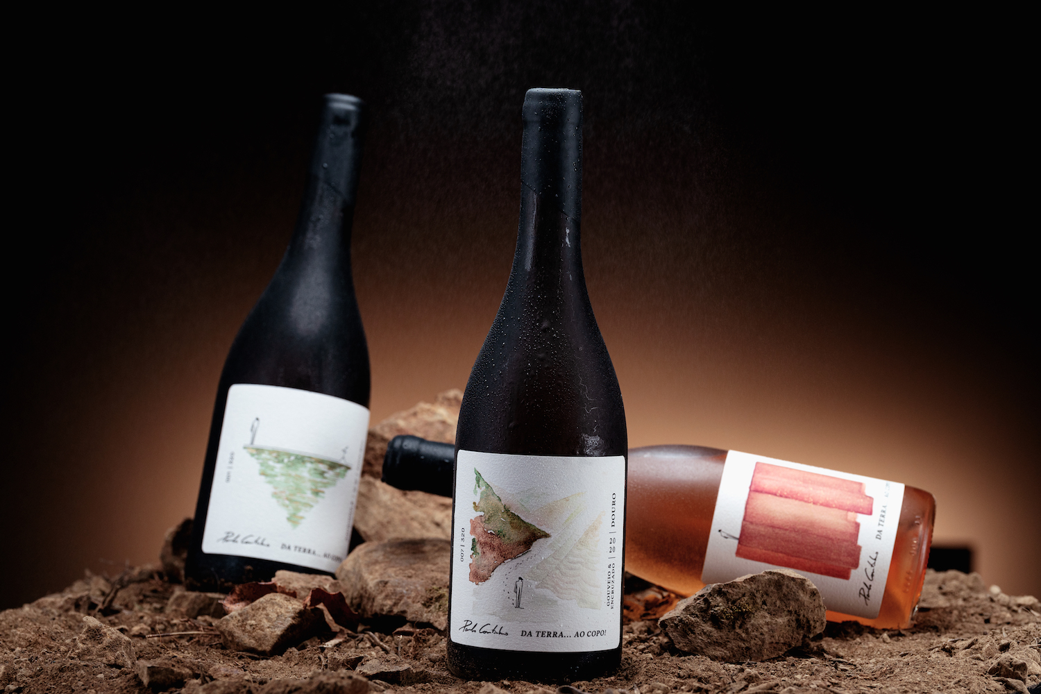 簡(jiǎn)約優(yōu)雅的葡萄酒包裝設(shè)計(jì)參考(圖5)