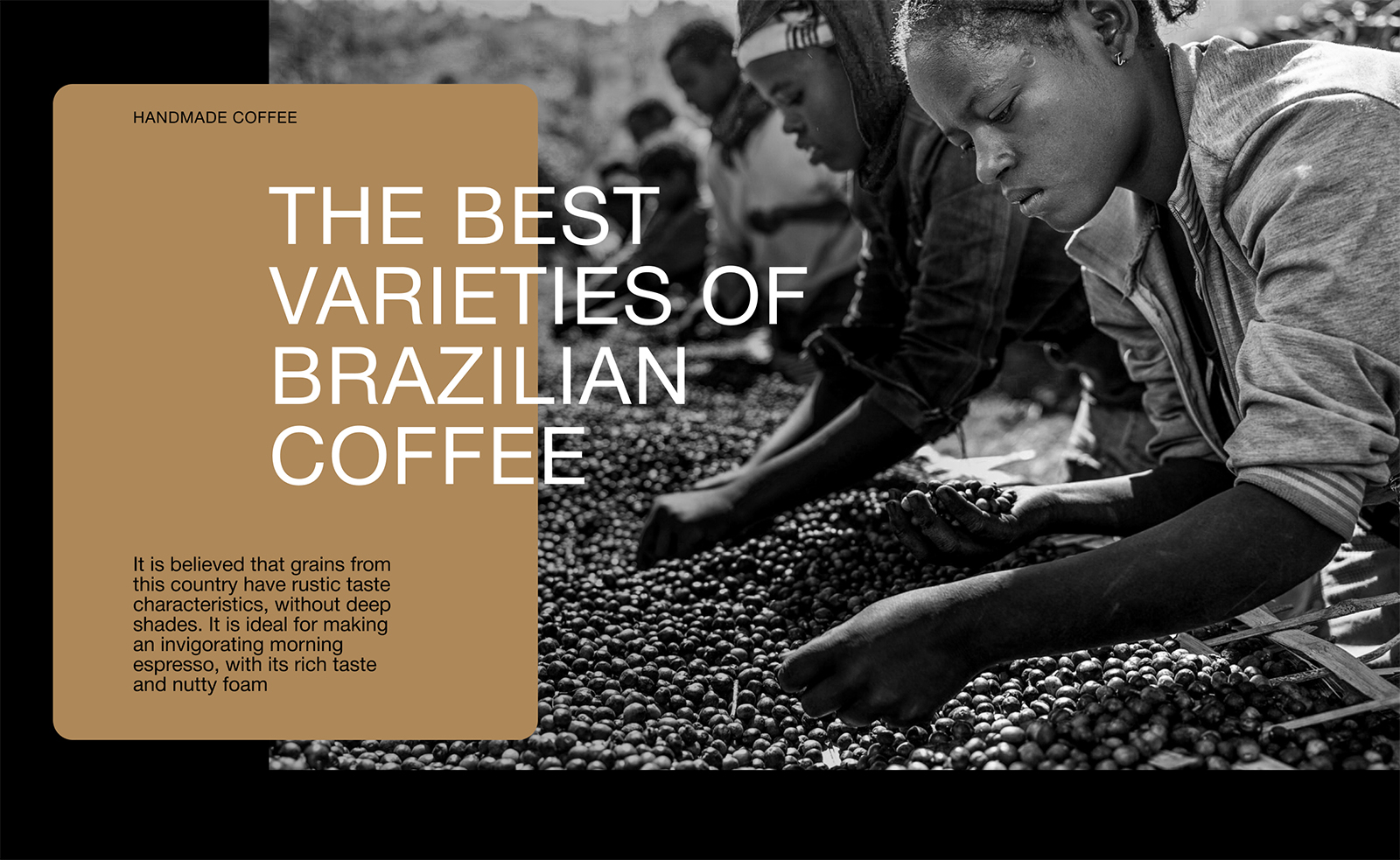 Tosside咖啡包裝設(shè)計(jì)作品參考(圖3)