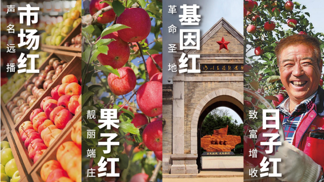 四喜：揭開品牌賣貨的核心秘密(圖19)