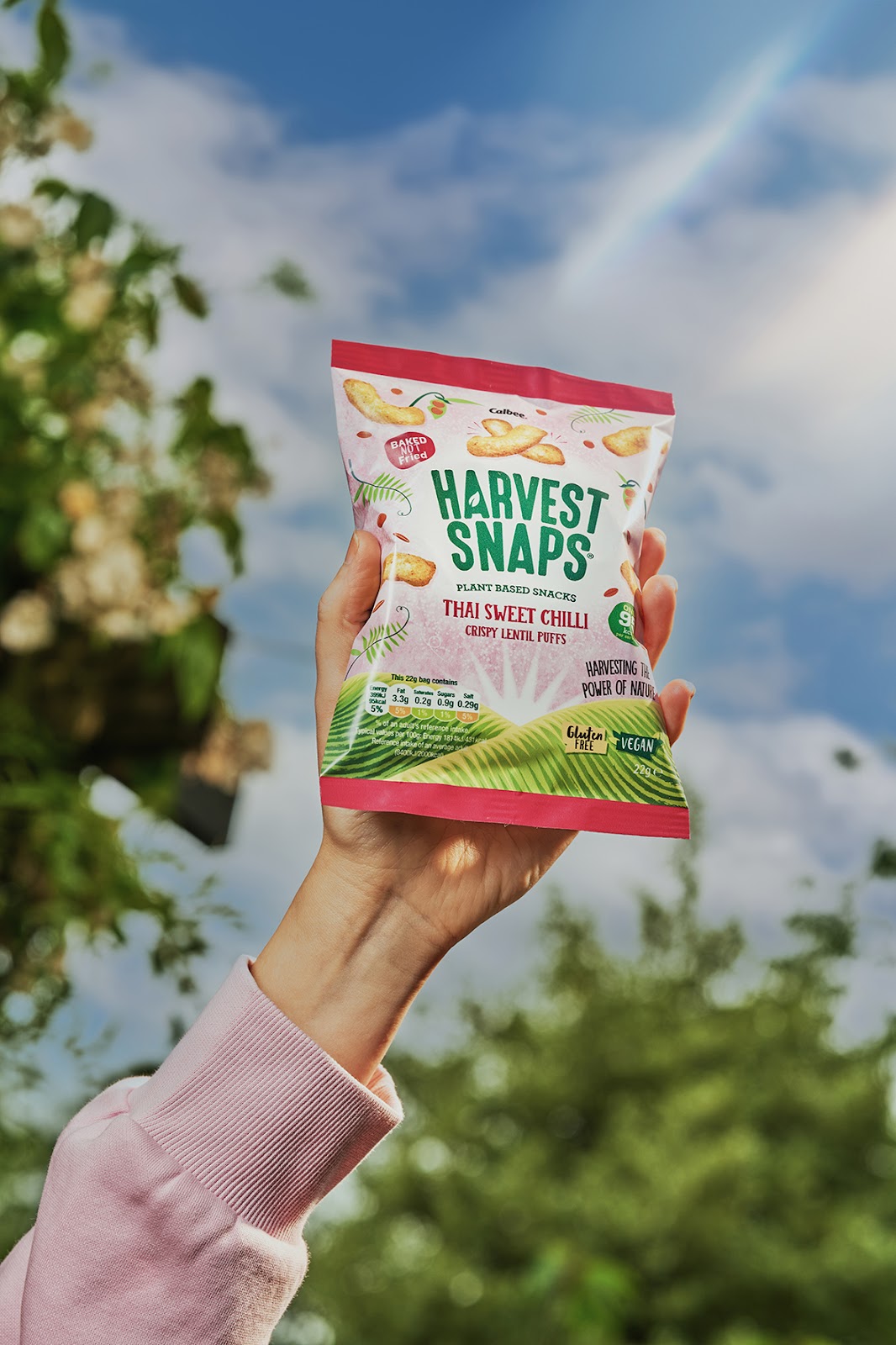 美味休閑零食包裝設(shè)計(jì)作品欣賞(圖5)