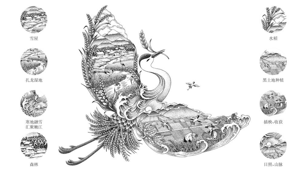 四喜如何通過包裝設(shè)計(jì)，讓金鶴黑珍珠大米彰顯高端定位(圖5)