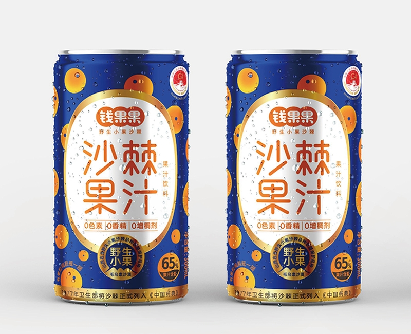 錢果果野生小果沙棘品牌包裝策劃設(shè)計(jì)