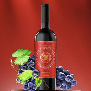 創(chuàng)意酒包裝設計彼奇尼枯藤半甜紅葡萄酒產(chǎn)品包裝設計欣賞(圖6)