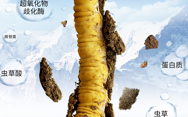 秦仁堂品牌logo與產(chǎn)品包裝設(shè)計欣賞(圖2)