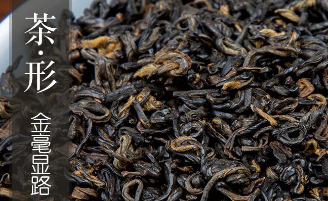 王光熙松蘿茶 王光熙品牌logo與食品包裝設(shè)計欣賞(圖4)