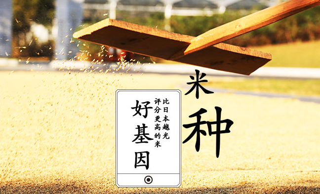 一號(hào)農(nóng)場(chǎng)品牌logo與食品包裝設(shè)計(jì)欣賞(圖4)