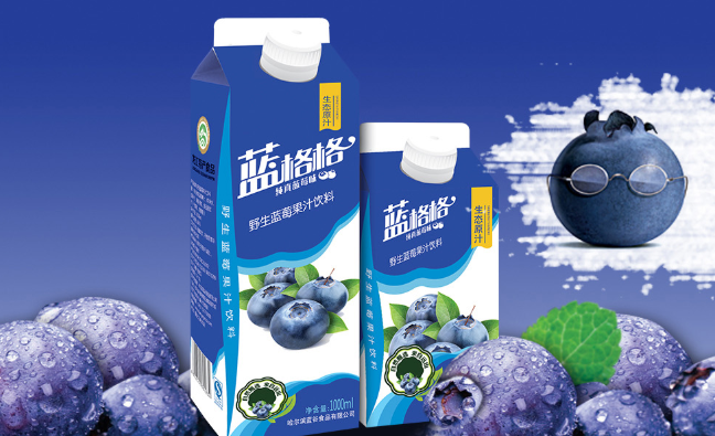 藍(lán)格格品牌logo與食品包裝設(shè)計(jì)欣賞(圖4)