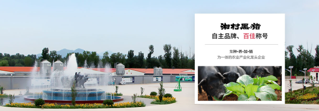 湘村黑豬品牌logo與食品包裝設(shè)計(jì)欣賞(圖3)