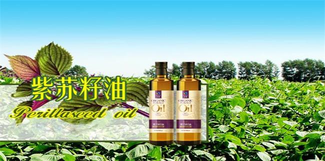 圣基品牌logo與食品包裝設(shè)計(jì)欣賞(圖3)