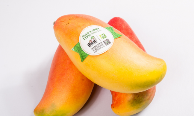 康樂(lè)欣品牌logo與食品包裝設(shè)計(jì)欣賞(圖4)