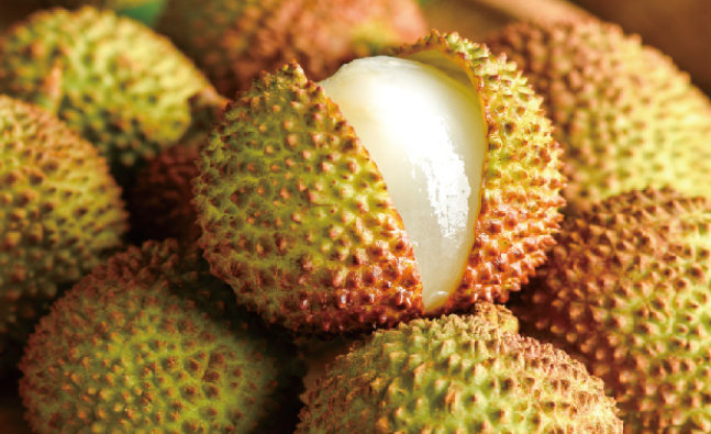 洪九果品品牌logo與食品包裝設(shè)計(jì)欣賞(圖2)