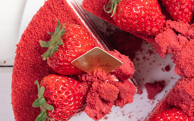 麥加樂品牌logo與食品包裝設(shè)計欣賞(圖2)