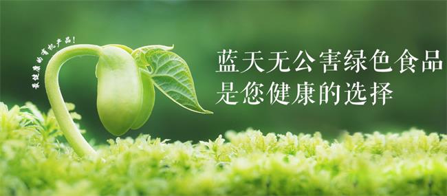 藍(lán)天果蔬品牌logo與食品包裝設(shè)計欣賞(圖3)