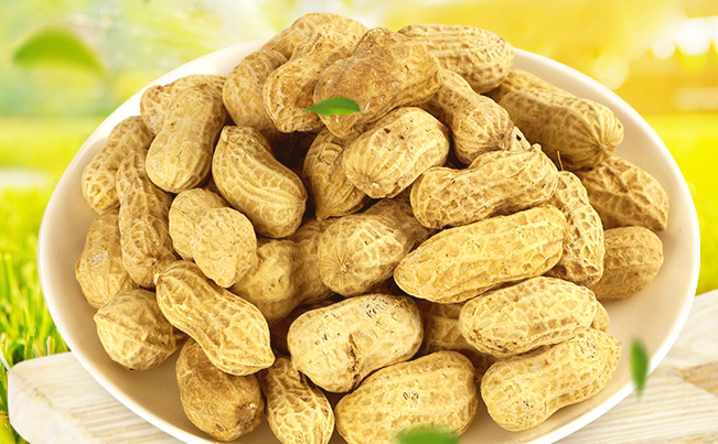 含羞草品牌logo與食品包裝設(shè)計(jì)欣賞(圖4)