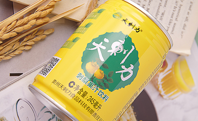天刺力品牌logo與食品包裝設(shè)計欣賞(圖3)
